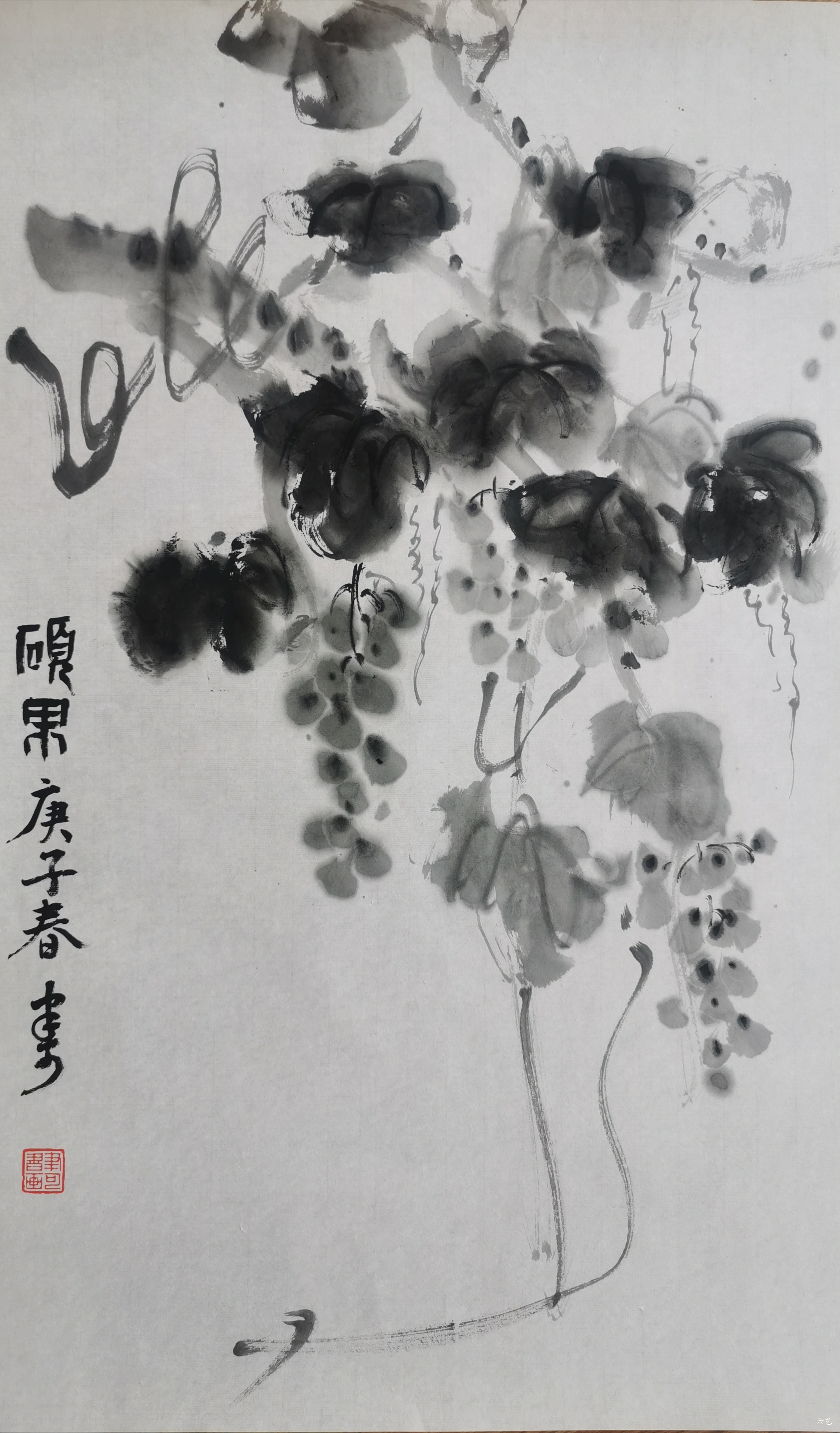 李聿可